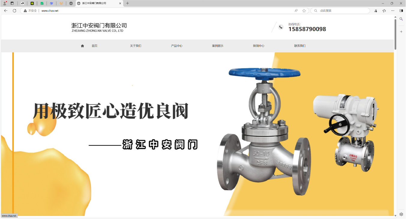 浙江中安阀门有限公司